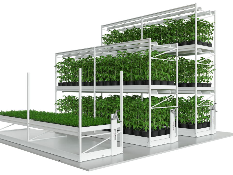 Vertical Farming