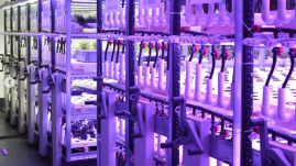 Bruynzeel_Champerche_Grow-Racks_Vertical-farming-1.png