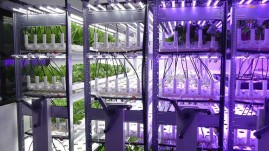 Bruynzeel_Champerche_Grow-Racks_Vertical-farming.jpg